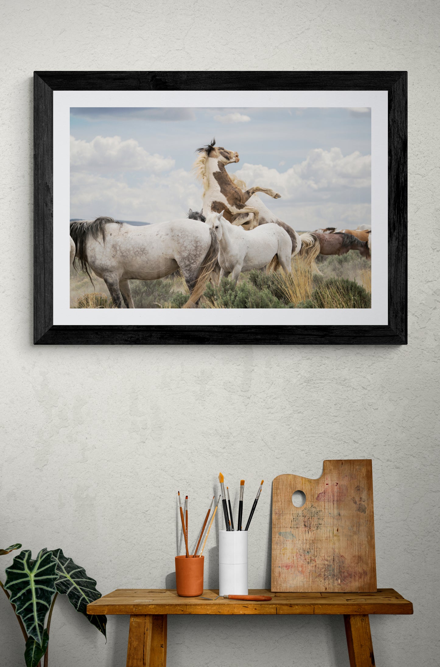 Clash in the Herd