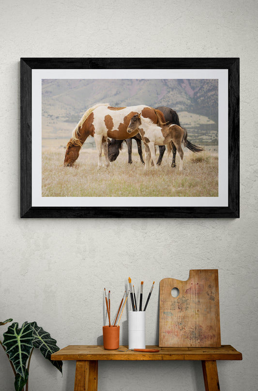 Wild Family