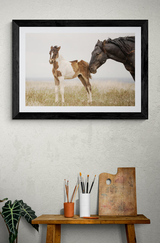 Father and Son
