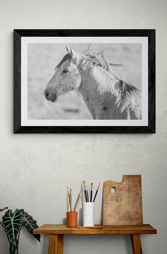 Guardian Stallion