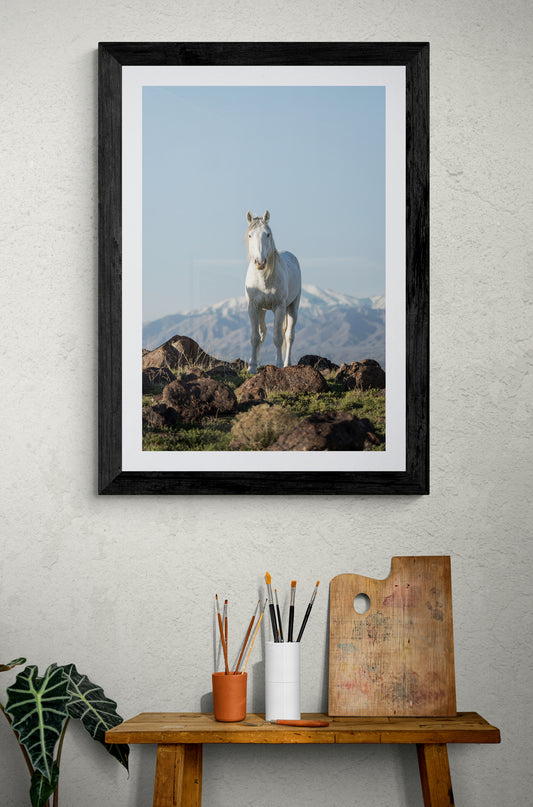 Guardian of the Valley
