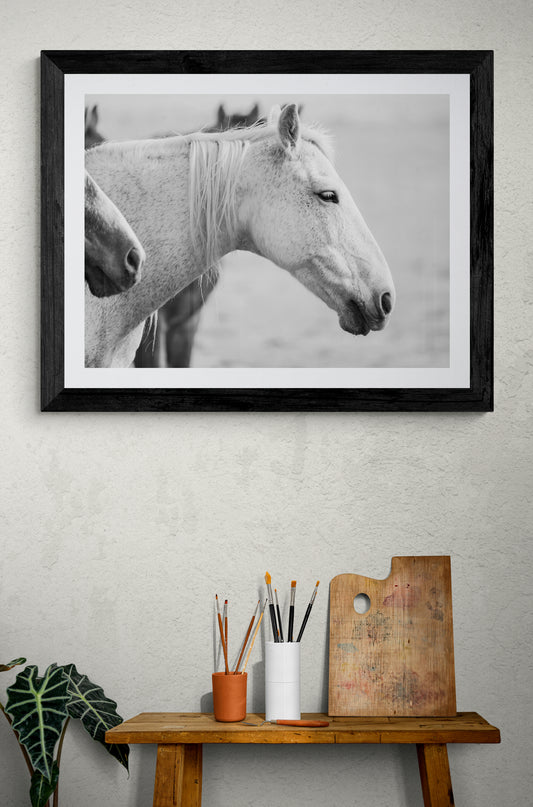 White Mare’s Gaze